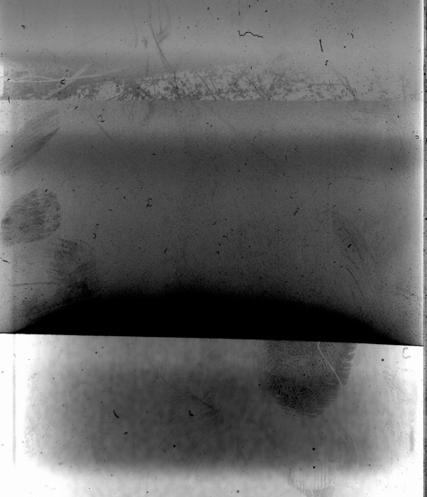 Trait d’union, encan-bénéfice du Festival International du Film sur l'Art. Du 27 novembre au 7 décembre 2025